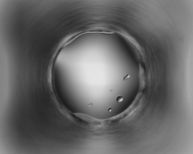 X0000094230862200711091313