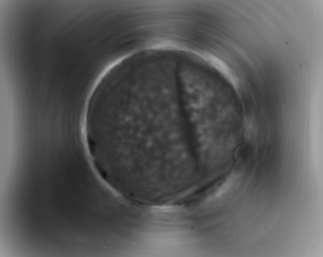 X0000094230863200711091313