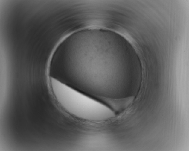 X0000094230864200711091313