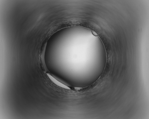 X0000094230866200711091312