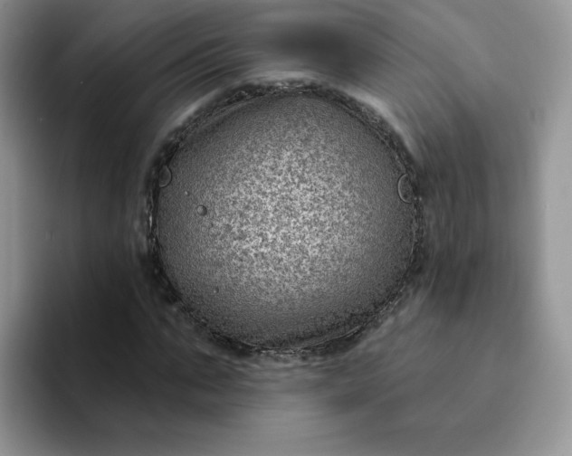 X0000094230871200711091312