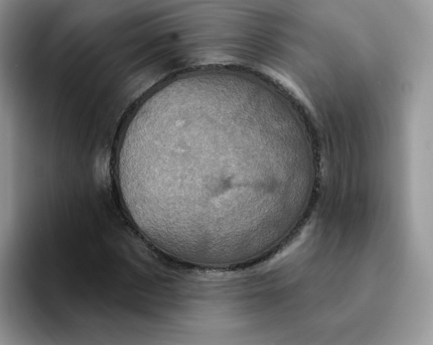 X0000094230873200711091312