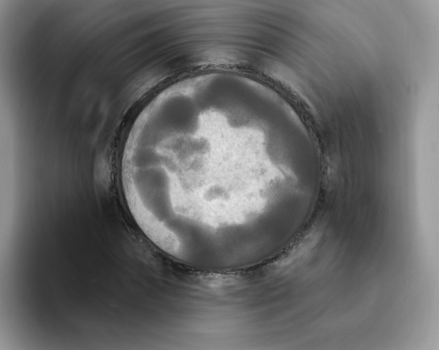 X0000094230874200711091312