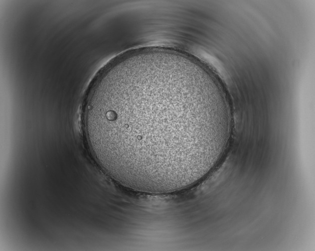 X0000094230875200711091312