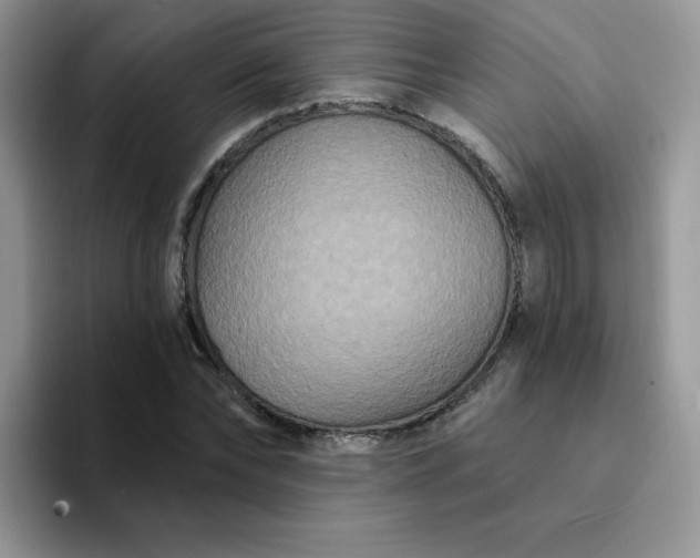 X0000094230878200711091312