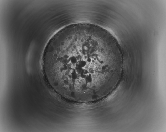 X0000094230879200711091312