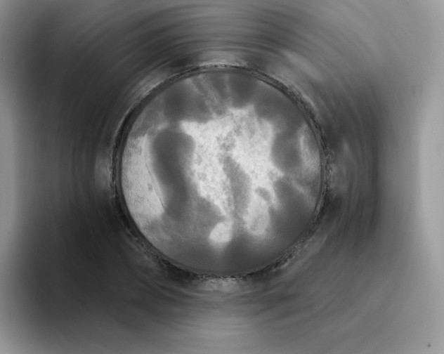 X0000094230882200711091312