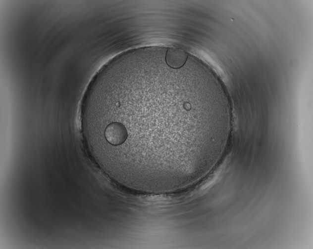 X0000094230883200711091312