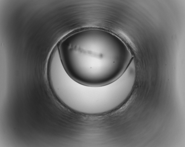 X0000094230884200711091312