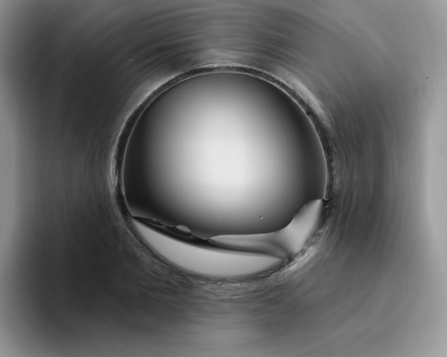 X0000094230885200711091312