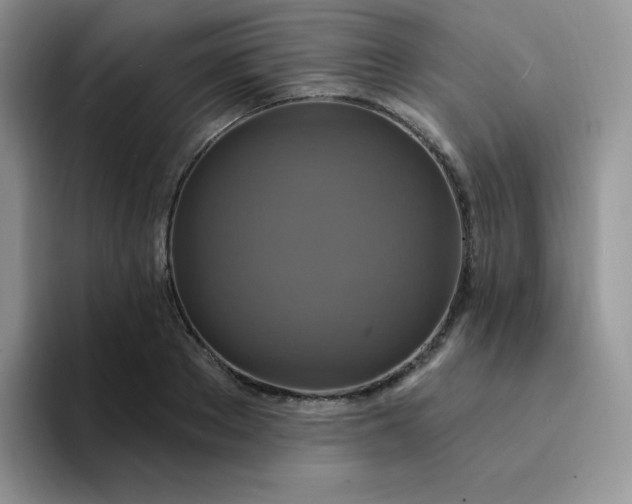 X0000094230889200711091312