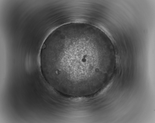 X0000094230891200711091312