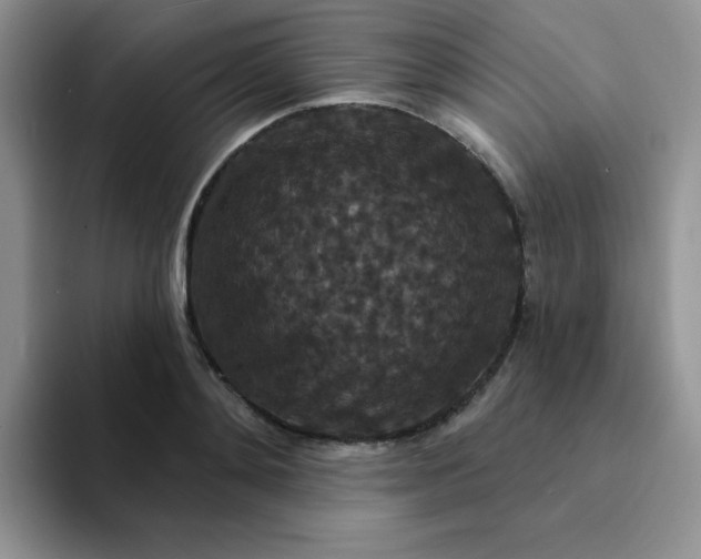 X0000094230892200711091312