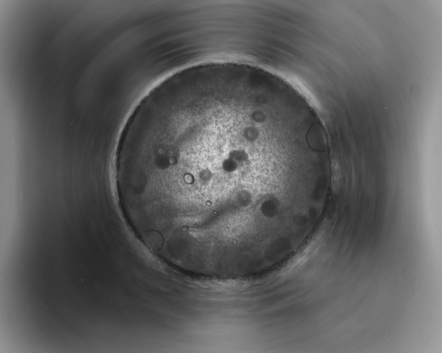 X0000094230895200711091312