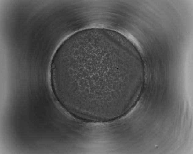 X0000094230896200711091312