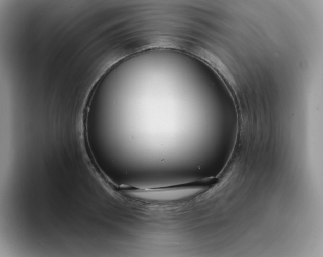 X0000094230898200711091312