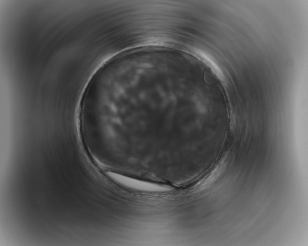 X0000094230899200711091312