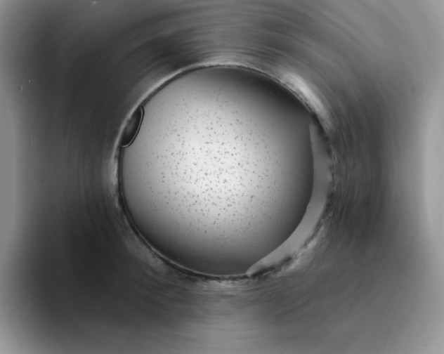 X0000094230900200711091312