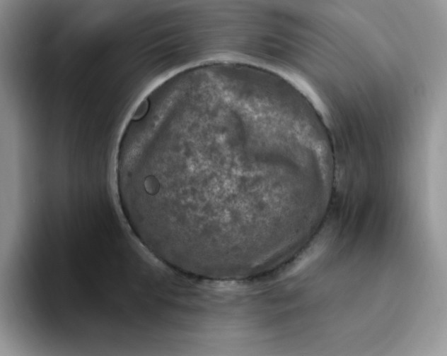 X0000094230903200711091312