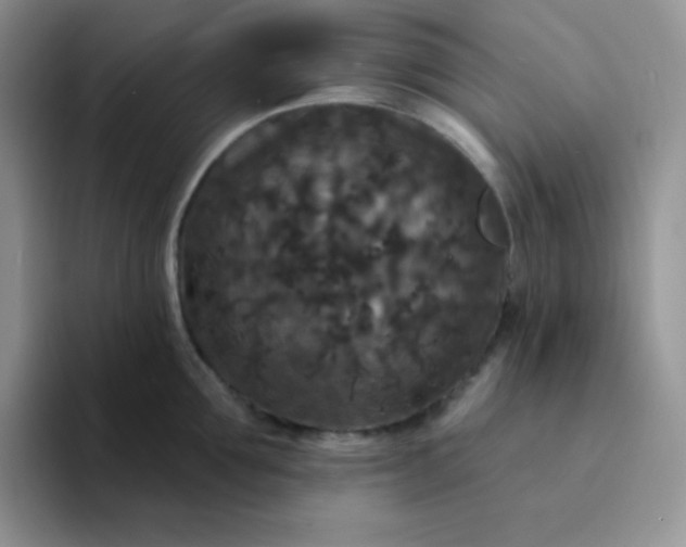 X0000094230907200711091312