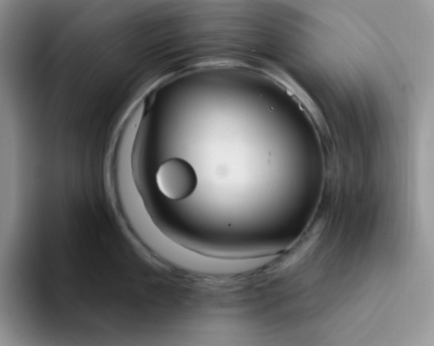 X0000094230909200711091312