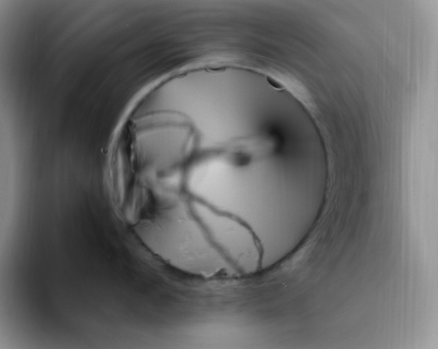 X0000094230912200711091312