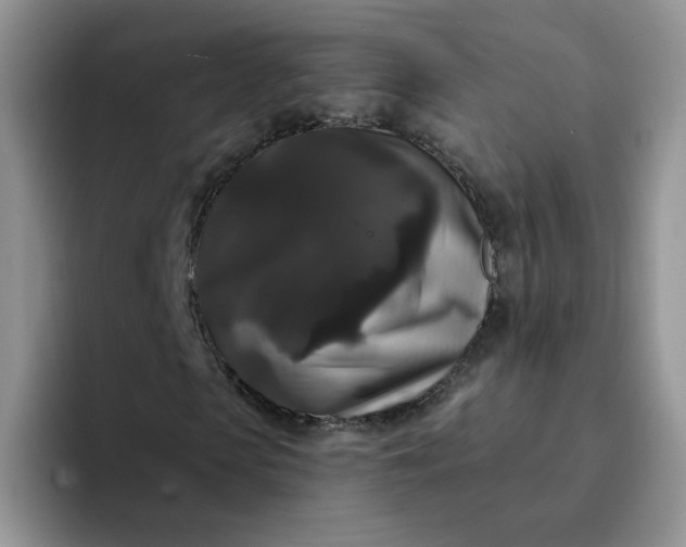 X0000094230913200711091311