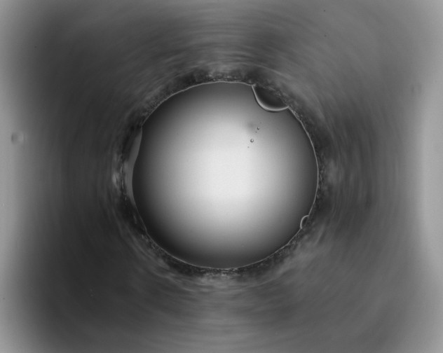 X0000094230914200711091311