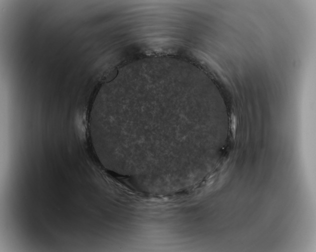 X0000094230915200711091311