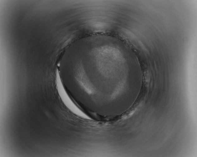 X0000094230916200711091311