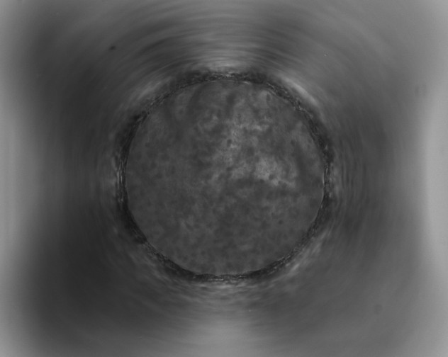 X0000094230917200711091311