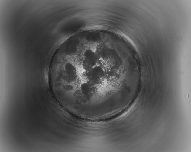 X0000094230921200711091311