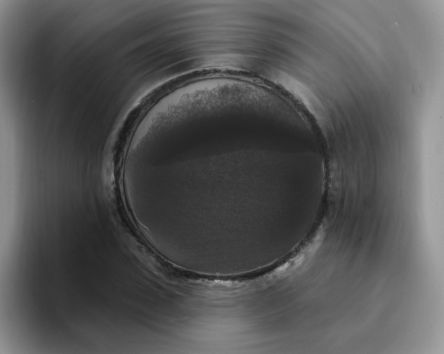 X0000094230923200711091311