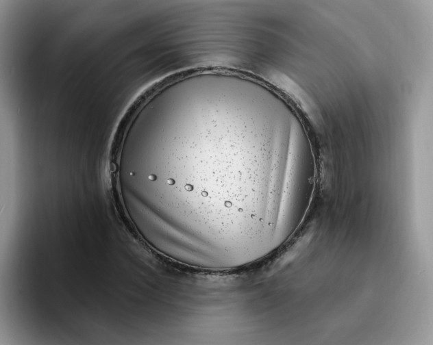 X0000094230924200711091311