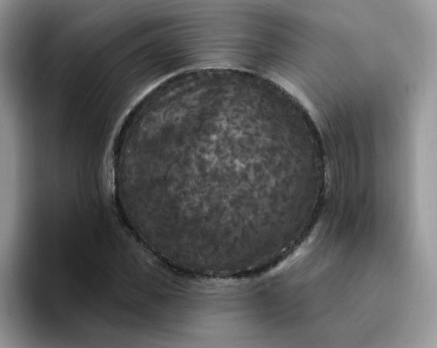 X0000094230925200711091311