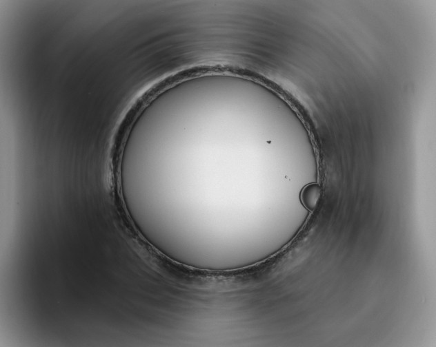 X0000094230927200711091311