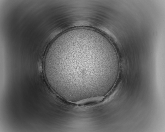 X0000094230929200711091311