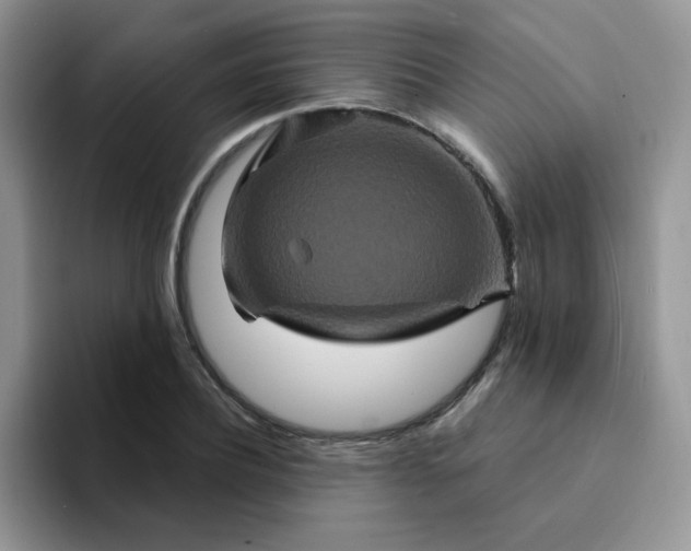 X0000094230932200711091311