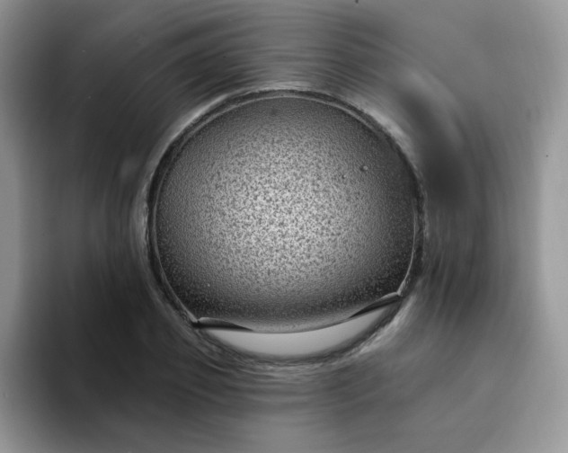 X0000094230933200711091311