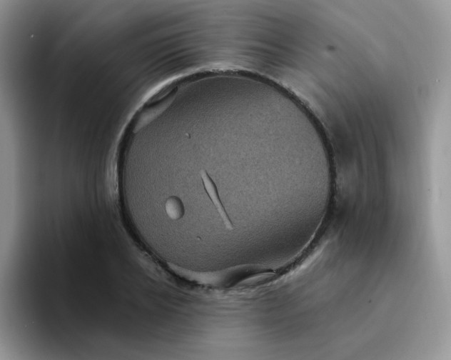 X0000094230934200711091311