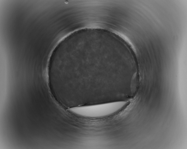 X0000094230935200711091311