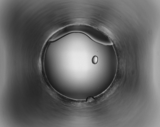 X0000094230936200711091311