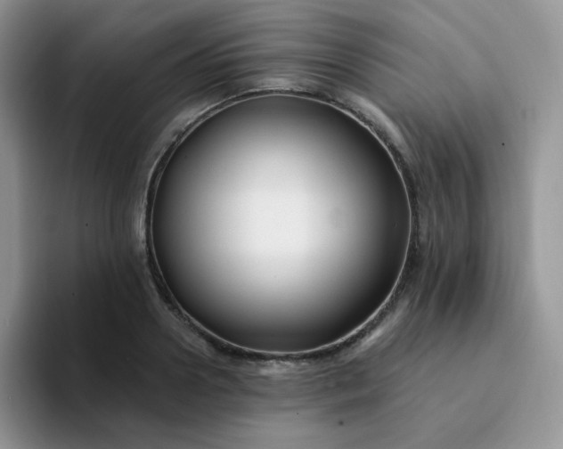 X0000094230938200711091311