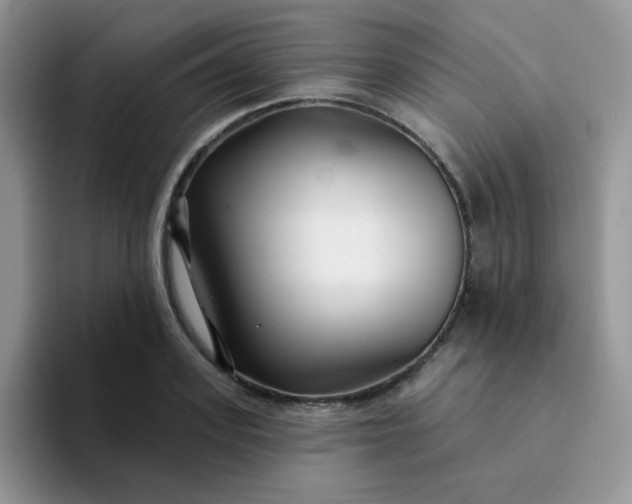 X0000094230939200711091311