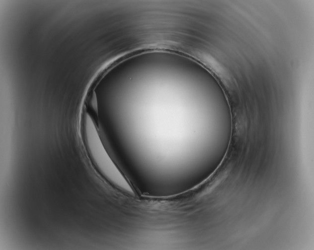 X0000094230940200711091311