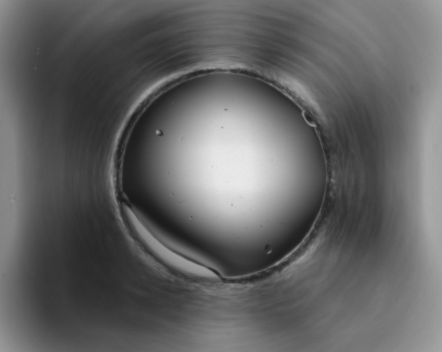 X0000094230942200711091311