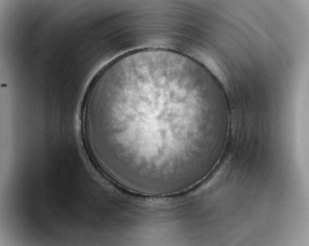 X0000094230944200711091311