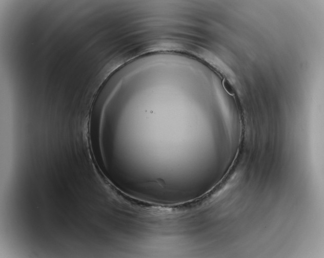 X0000094230945200711091311