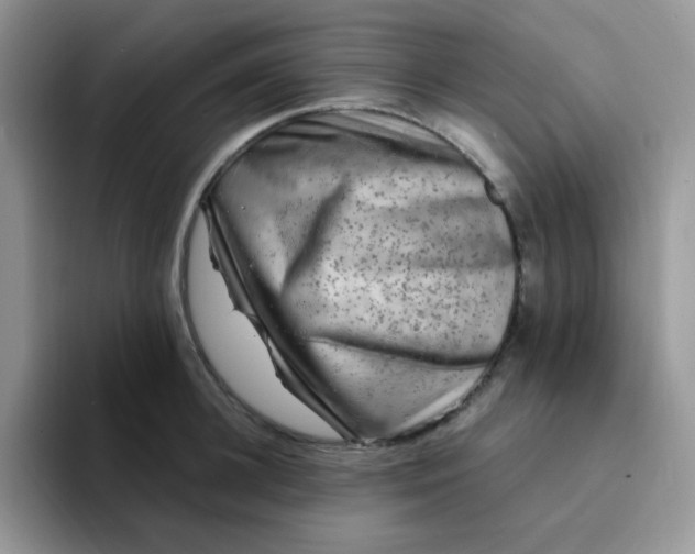 X0000094230948200711091311