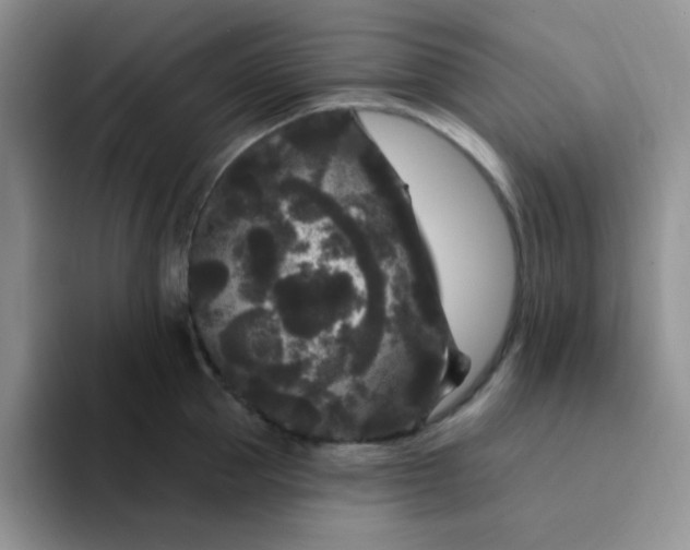 X0000094230953200711091312